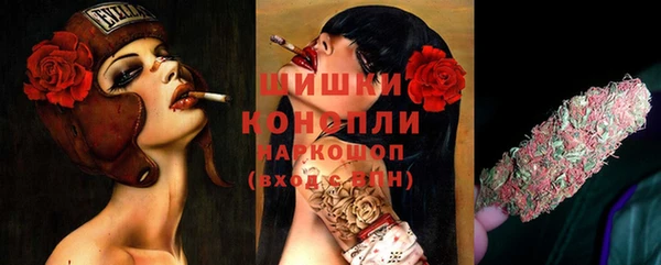 прущие крисы Балахна