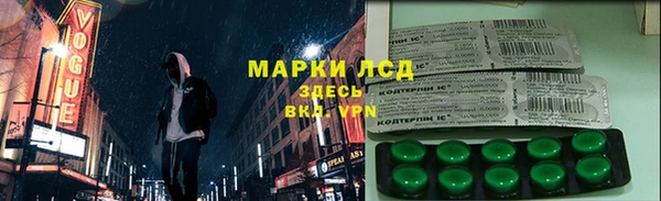 индика Балабаново