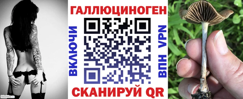 купить наркотик  Улан-Удэ  Псилоцибиновые грибы прущие грибы 